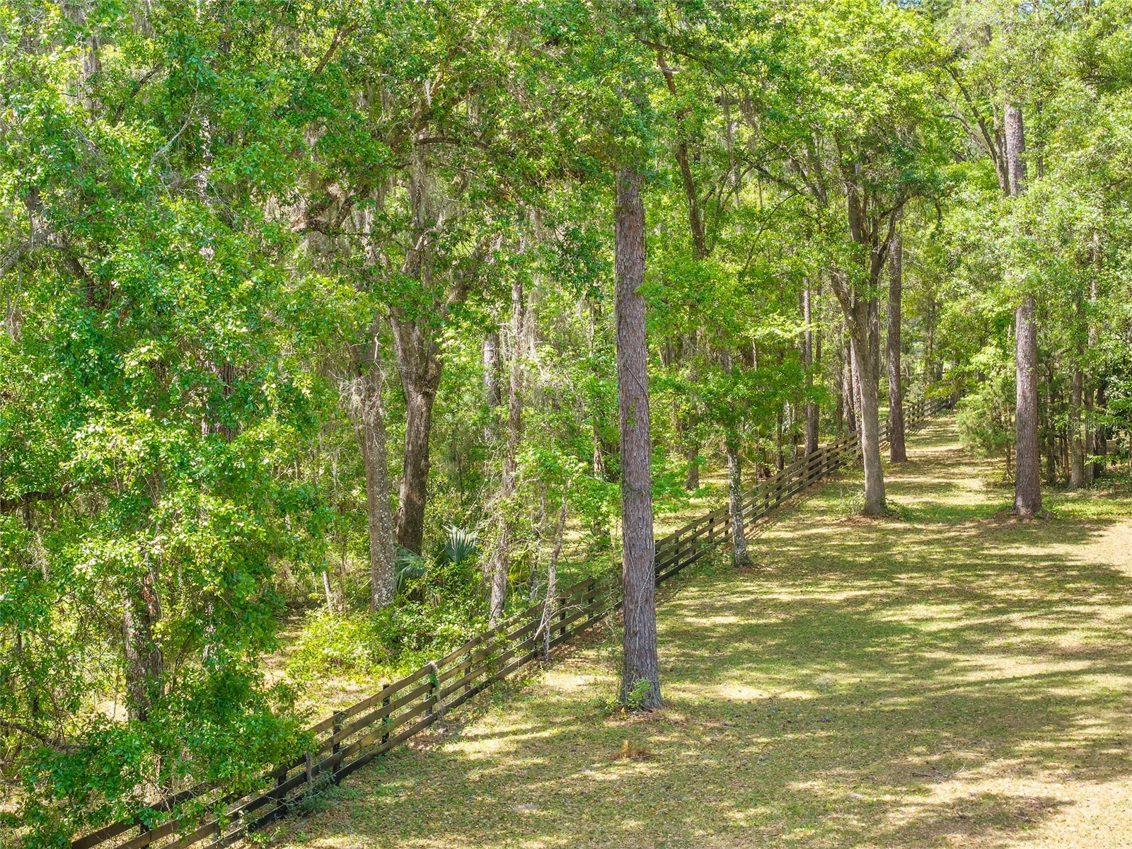 TBD SW 144 Court Road Ocala FL 34482 OM721933 image19