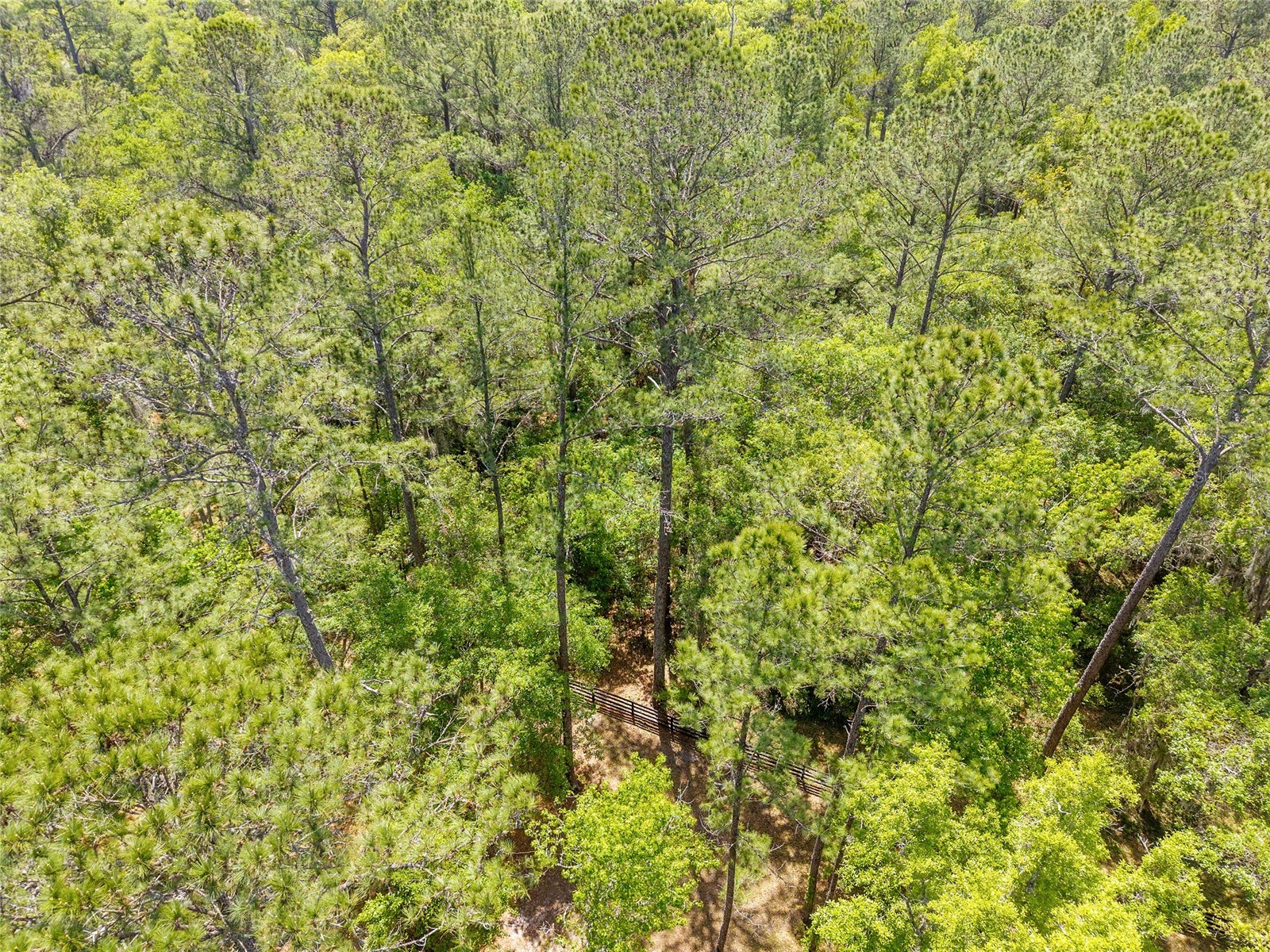 TBD SW 144 Court Road Ocala FL 34482 OM721933 image21