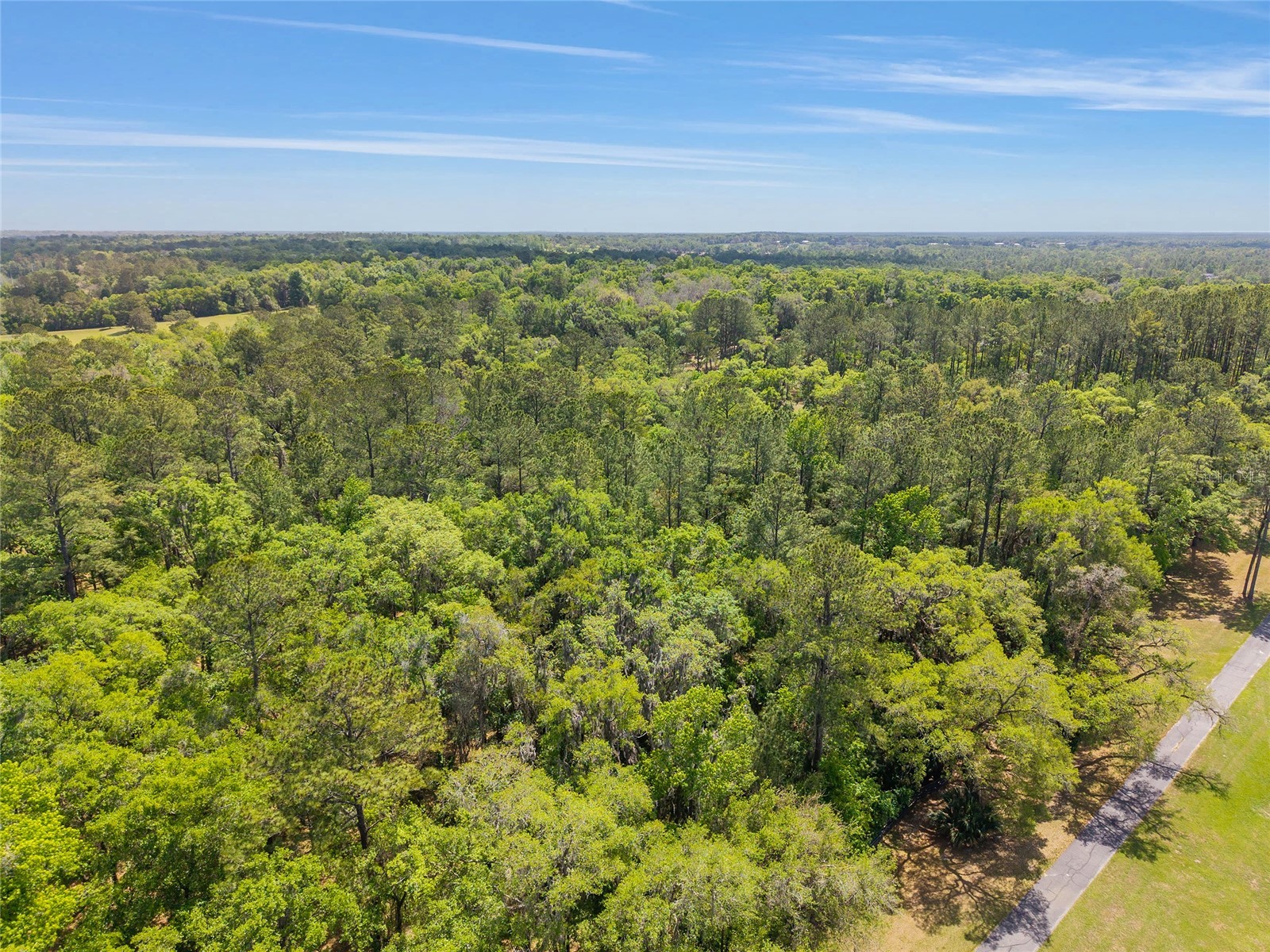 TBD SW 144 Court Road Ocala FL 34482 OM721933 image22