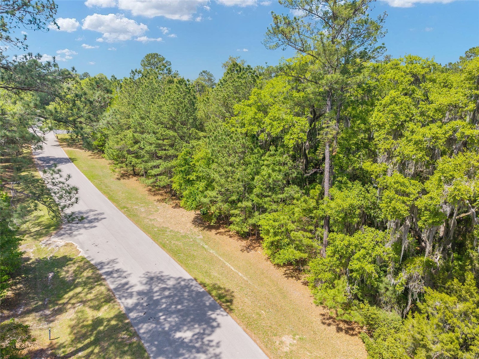 TBD SW 144 Court Road Ocala FL 34482 OM721933 image6
