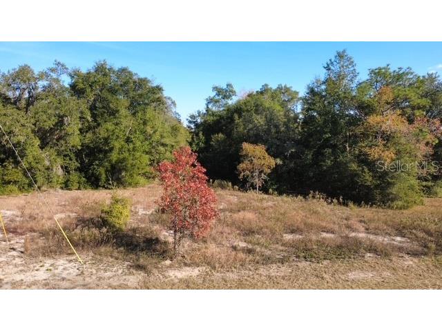 TBD SW 146 Court Ocala FL 34481 G5104751 image3
