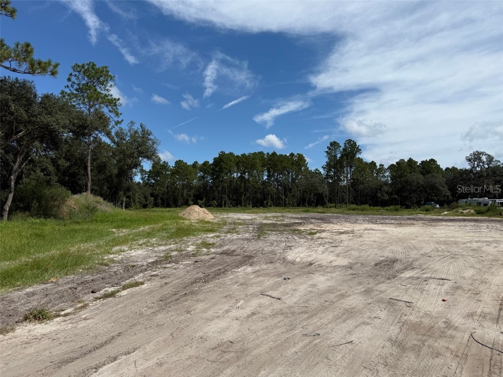 TBD SW 146th Lane Road Dunnellon FL 34432 OK225566 image10