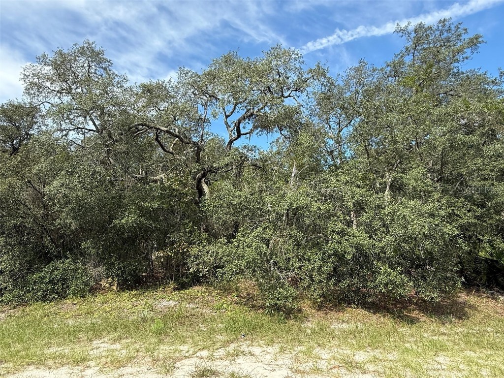 TBD SW 146th Lane Road Dunnellon FL 34432 OK225566 image11