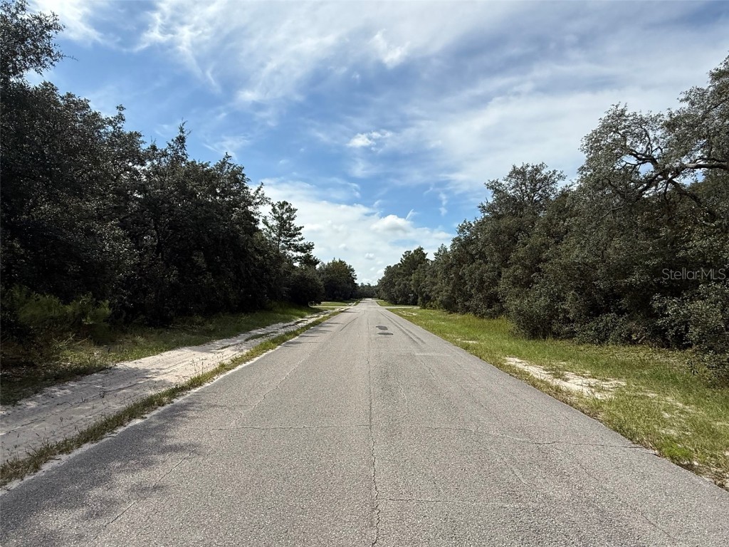 TBD SW 146th Lane Road Dunnellon FL 34432 OK225566 image13