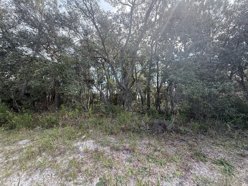 TBD SW 146th Lane Road Dunnellon FL 34432 OK225566 image17