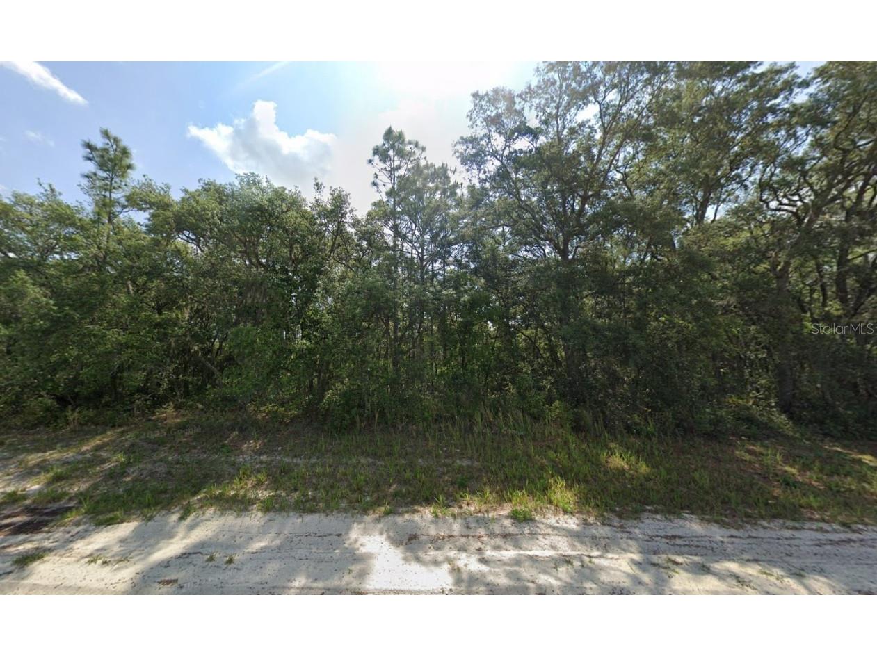 TBD SW 146th Lane Road Dunnellon FL 34432 OK225566 image18