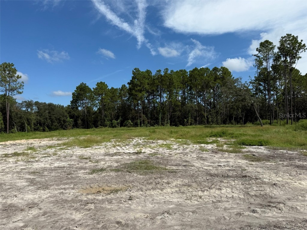 TBD SW 146th Lane Road Dunnellon FL 34432 OK225566 image3