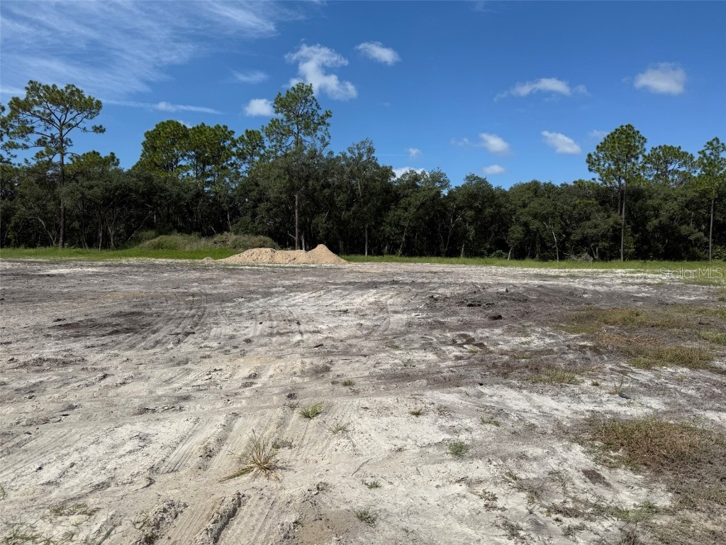 TBD SW 146th Lane Road Dunnellon FL 34432 OK225566 image4
