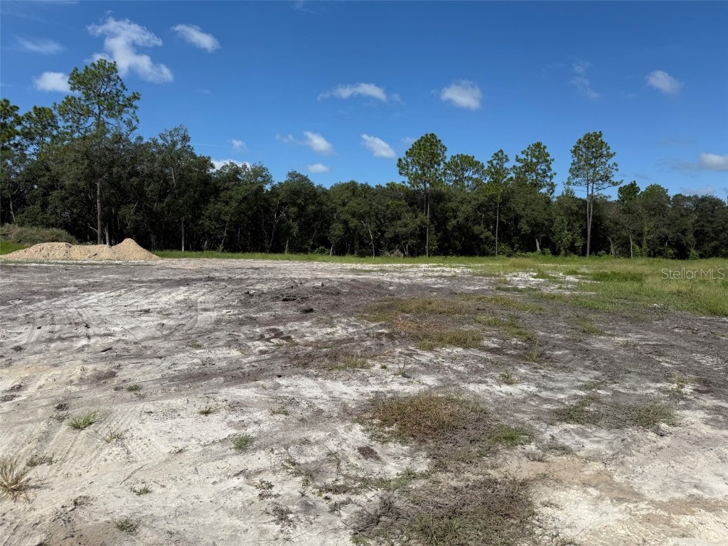 TBD SW 146th Lane Road Dunnellon FL 34432 OK225566 image5