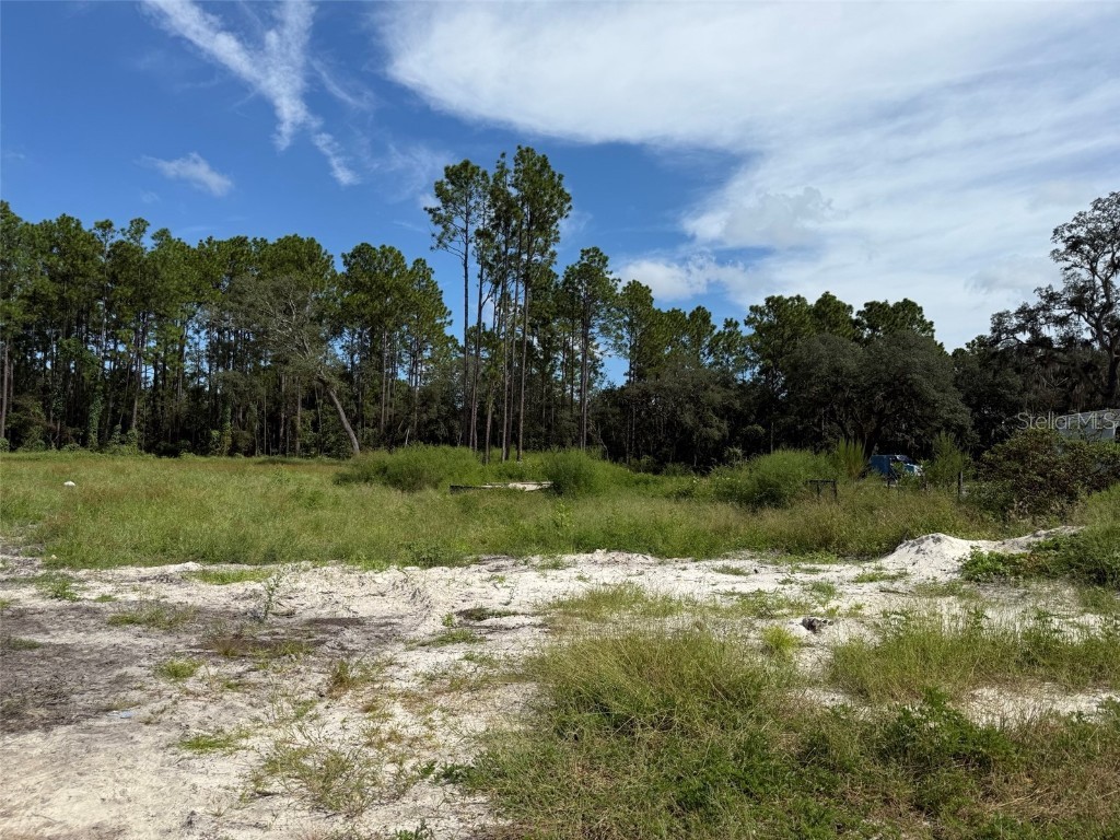 TBD SW 146th Lane Road Dunnellon FL 34432 OK225566 image7