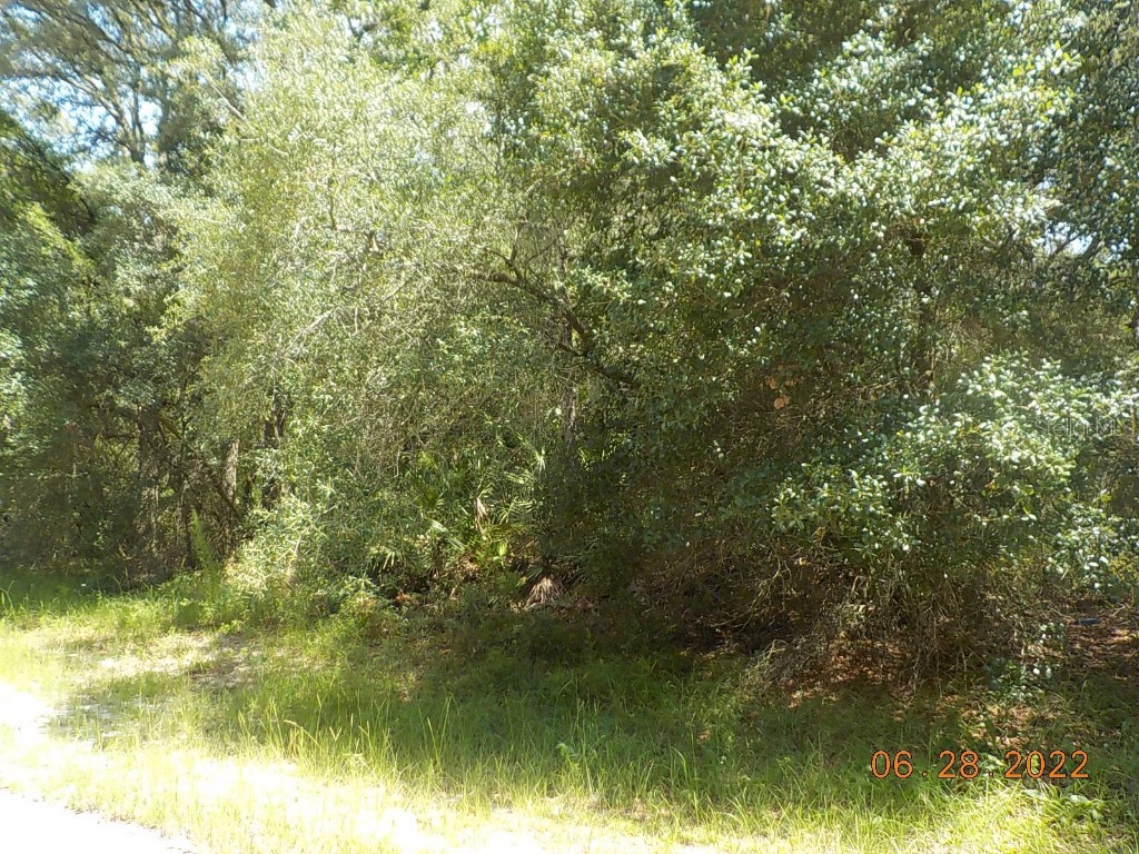 TBD SW 147 Loop Ocala FL 34473 OM641700 image1