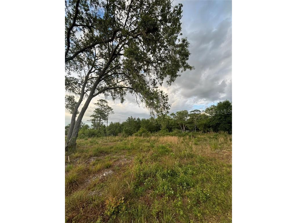 TBD SW 148th Lane Dunnellon FL 34432 OM678145 image1