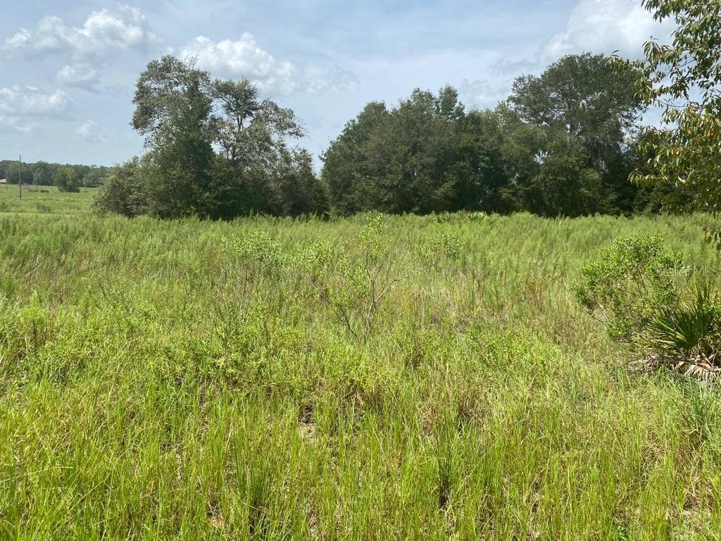 TBD Sw 149 Ter Ocala FL 34481 S5088923 image1
