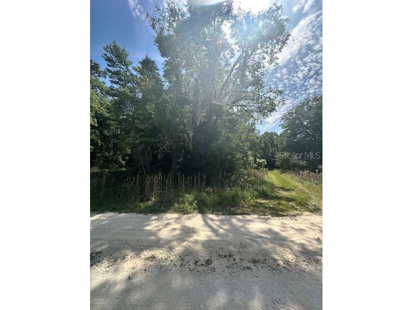 TBD SW 149th Court Road Ocala FL 34481 O6199860 image1