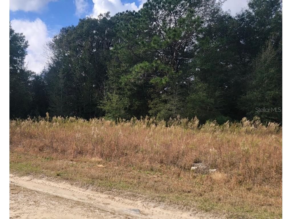 TBD SW 149th Terrace Ocala FL 34481 OM669143 image1
