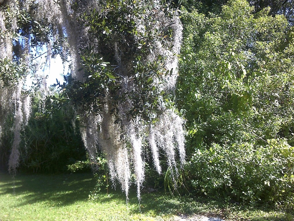 TBD SW 14th Court Okeechobee FL 34974 OK223388 image1