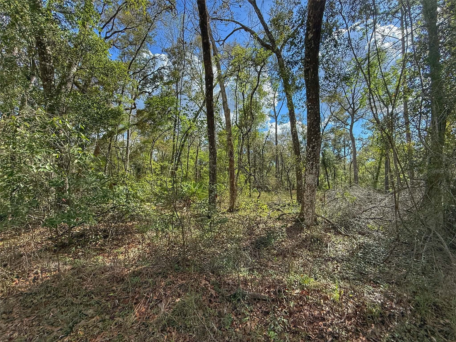 TBD SW 14th Place Bell FL 32619 GC538360 image2