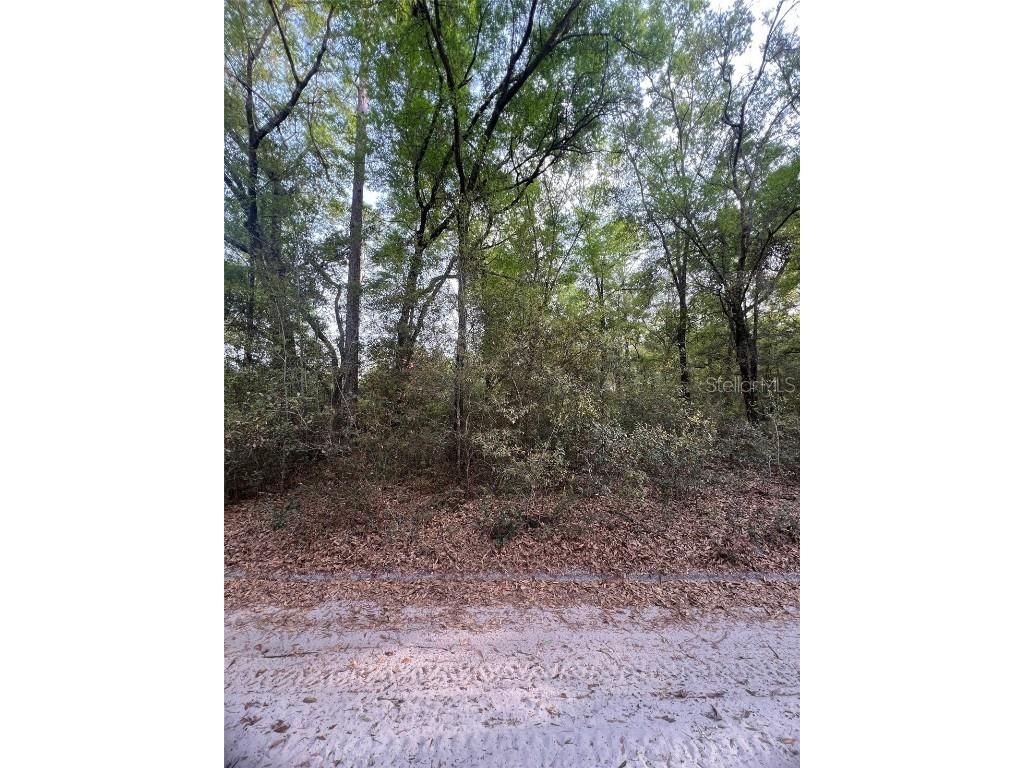 TBD SW 150 Street Dunnellon FL 34432 OM697955 image1