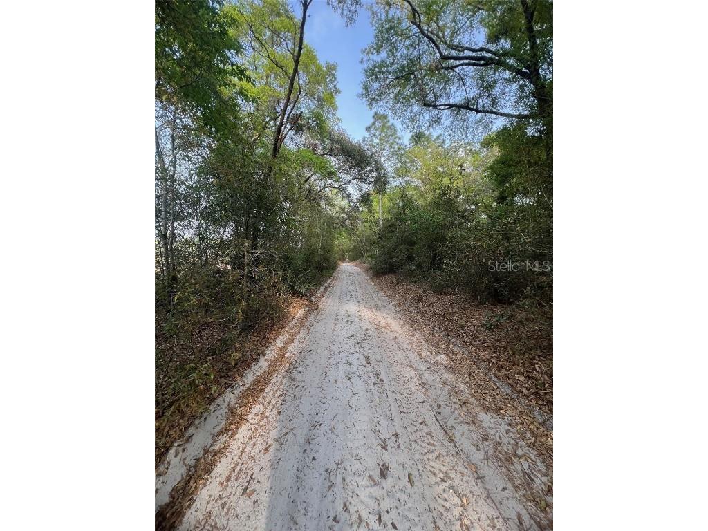 TBD SW 150 Street Dunnellon FL 34432 OM697955 image2