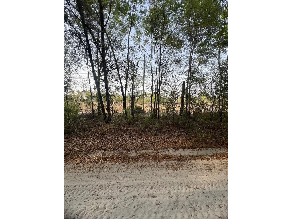 TBD SW 150 Street Dunnellon FL 34432 OM697955 image3