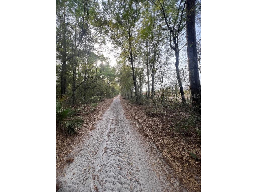 TBD SW 150 Street Dunnellon FL 34432 OM697955 image4
