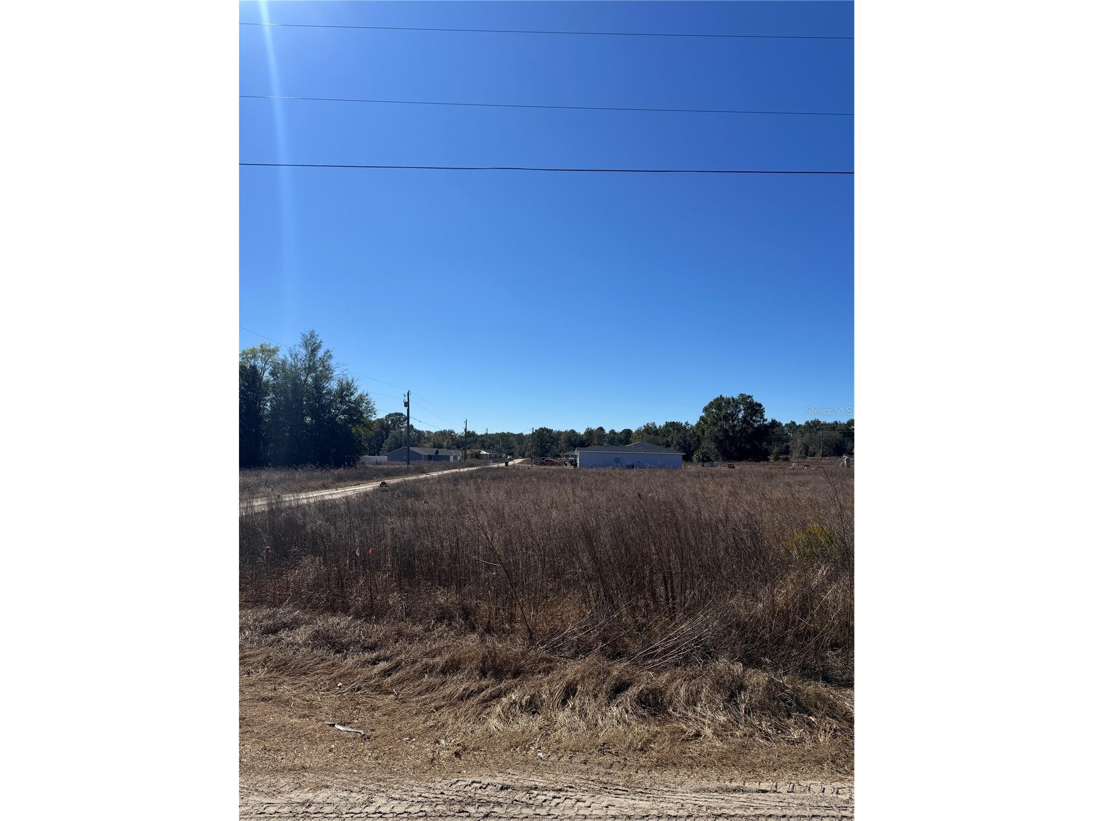 TBD SW 150th Court Ocala FL 34482 OM718198 image2