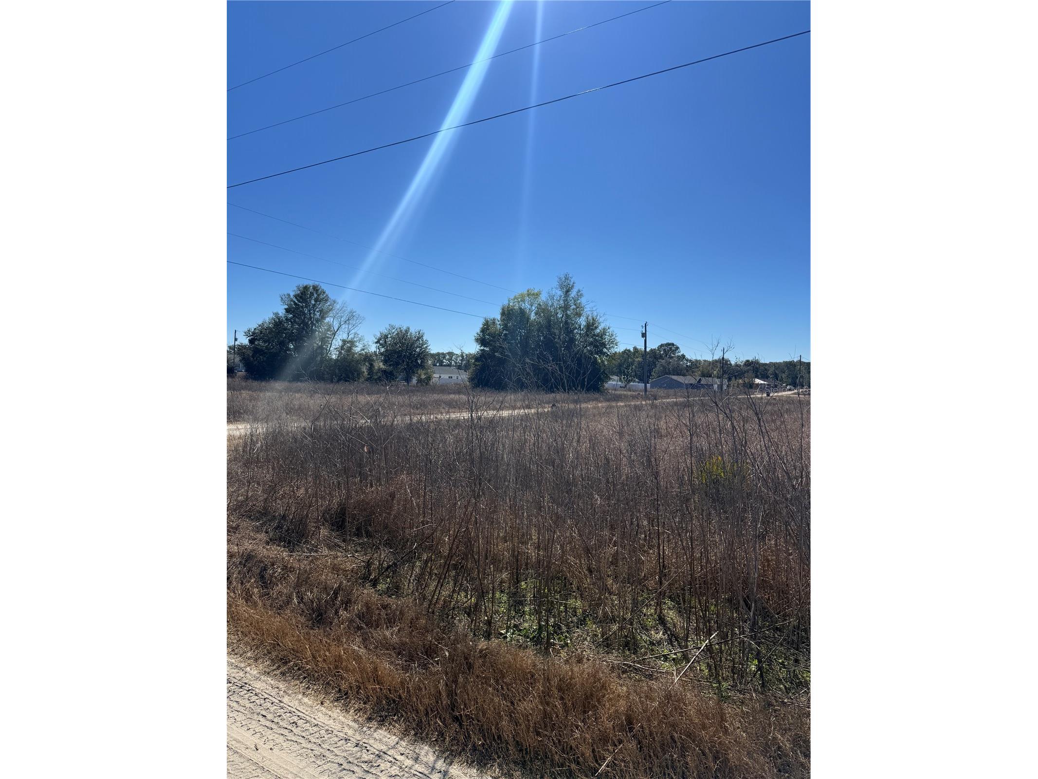 TBD SW 150th Court Ocala FL 34482 OM718198 image3