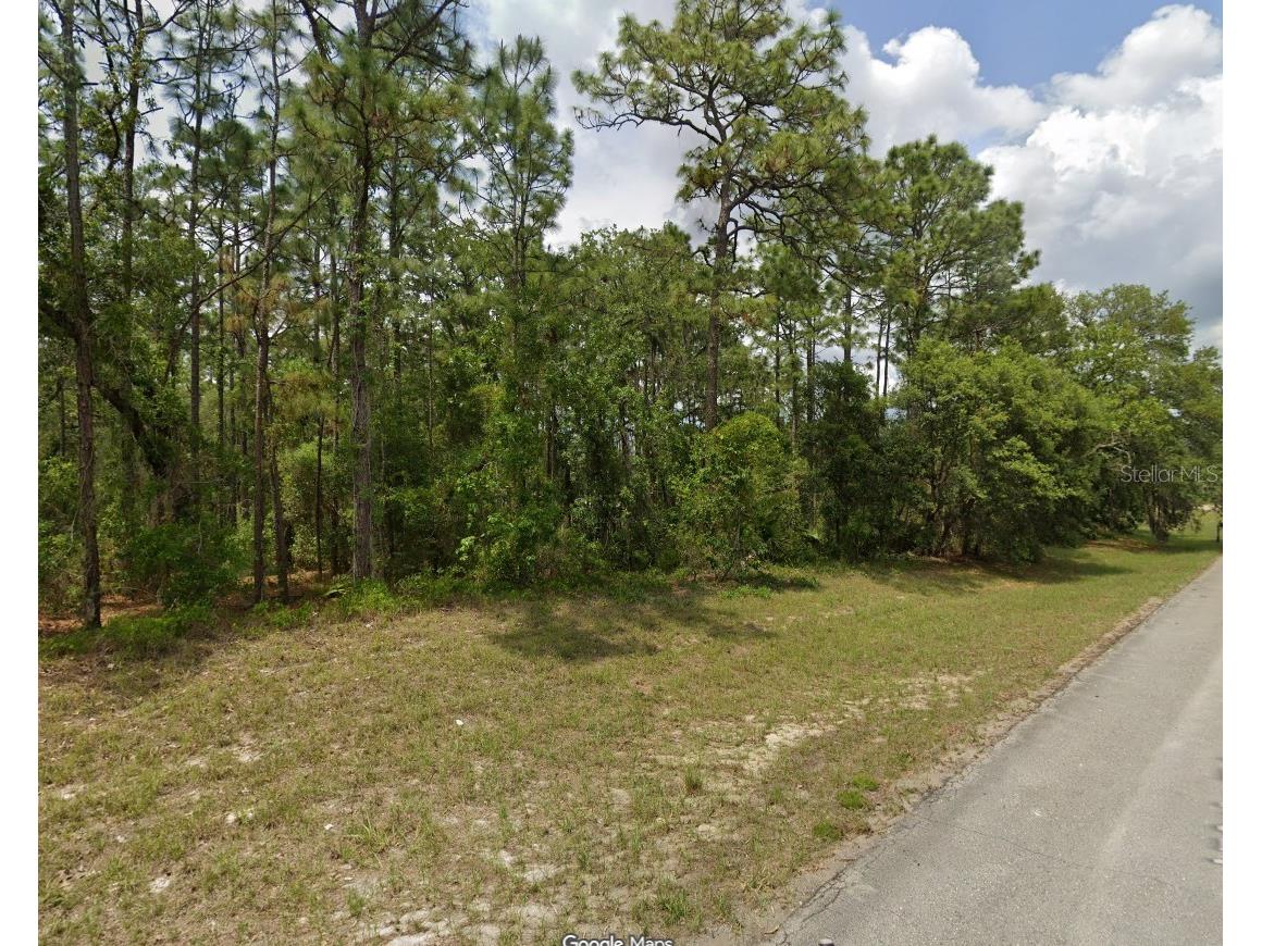 TBD SW 150th Place Ocala FL 34473 OM707445 image1