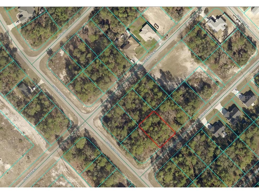 TBD SW 150th Place Ocala FL 34473 OM707445 image2