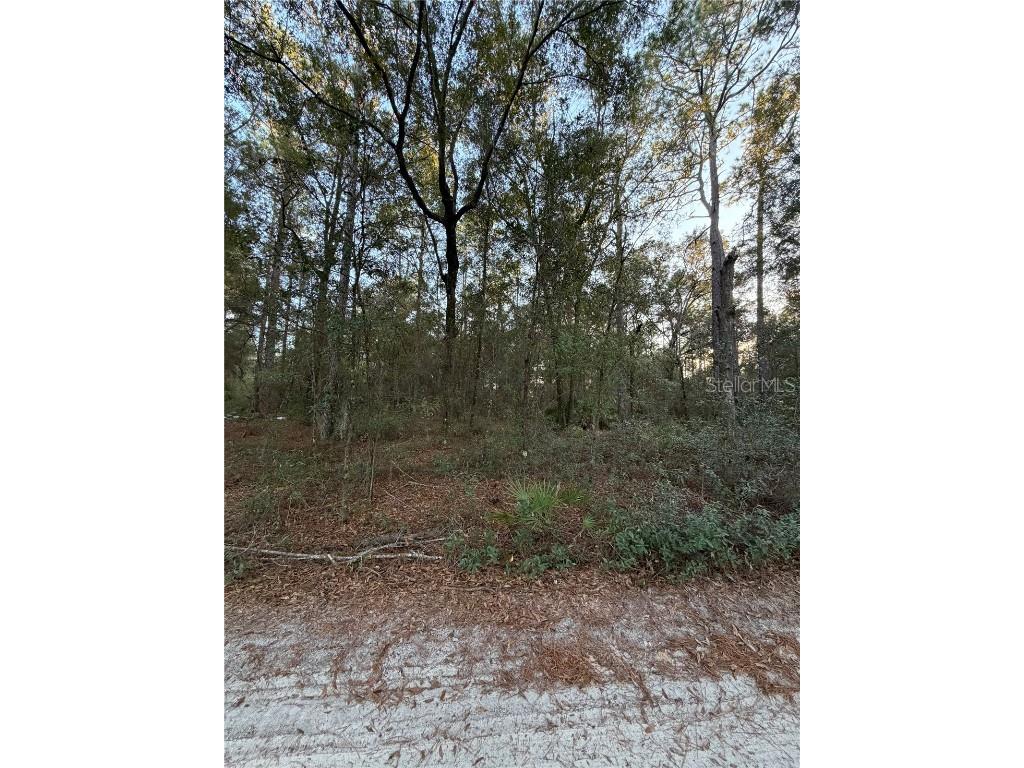 TBD SW 150th Street Dunnellon FL 34432 OM716151 image1
