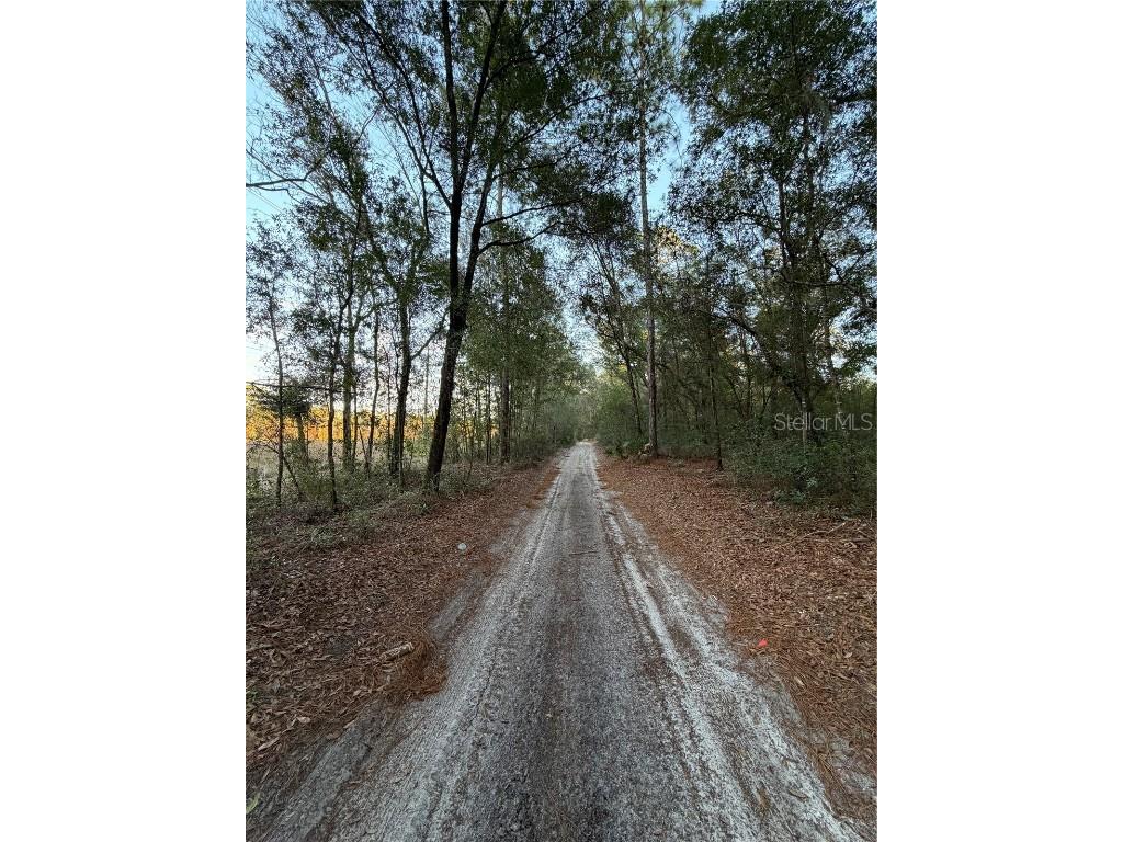 TBD SW 150th Street Dunnellon FL 34432 OM716151 image2