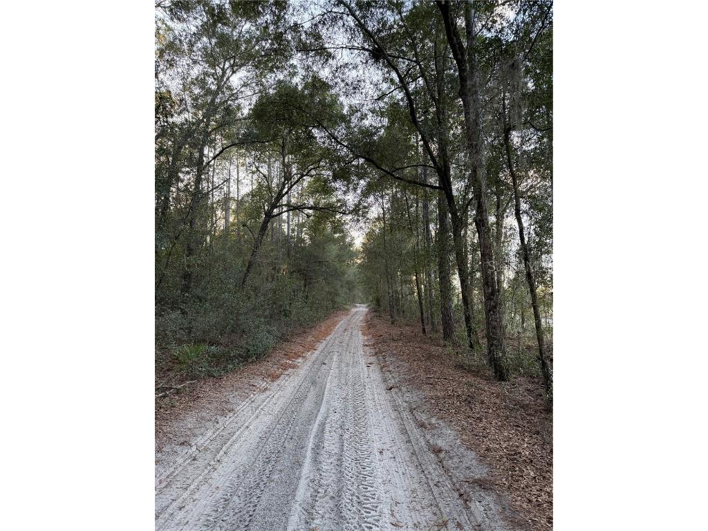 TBD SW 150th Street Dunnellon FL 34432 OM716151 image3