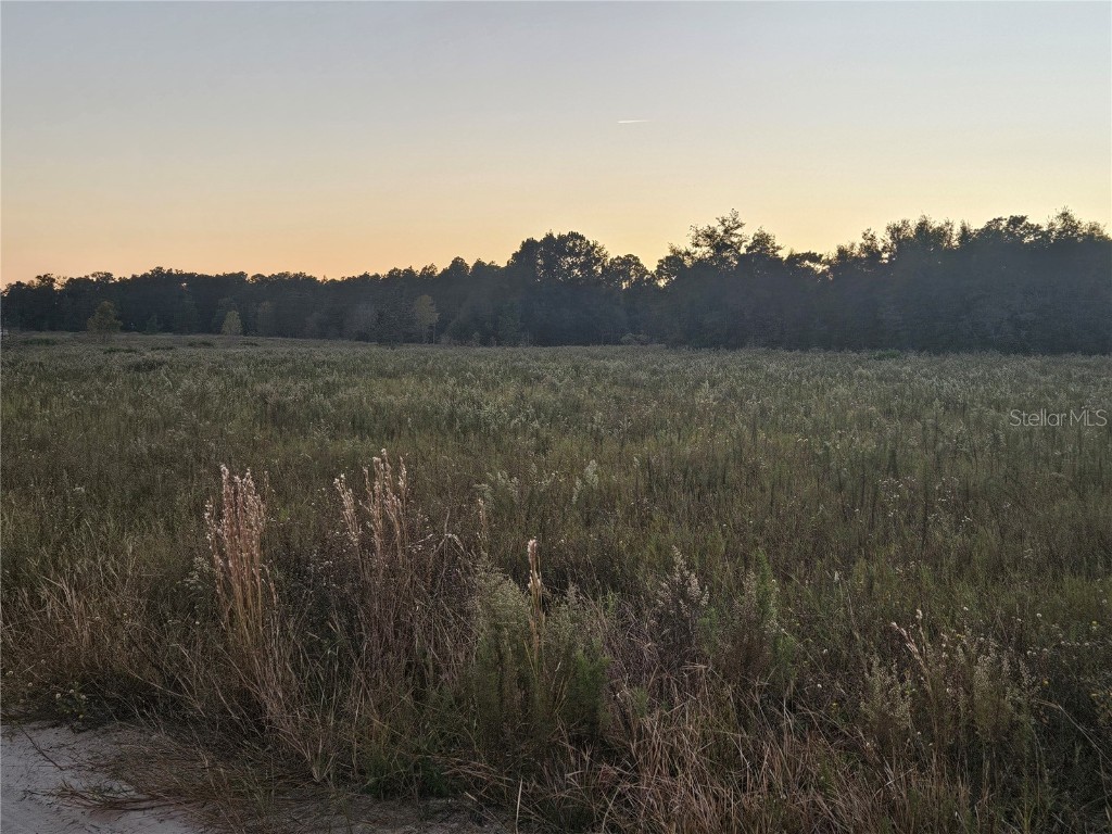 TBD SW 151 Avenue Ocala FL 34481 OM713124 image4