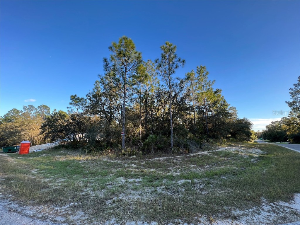 TBD SW 151st Place Ocala FL 34473 O6147232 image1