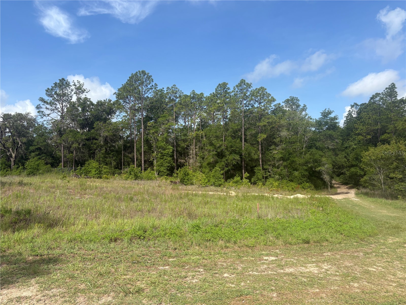 TBD SW 152 Court Ocala FL 34481 G5113015 image1