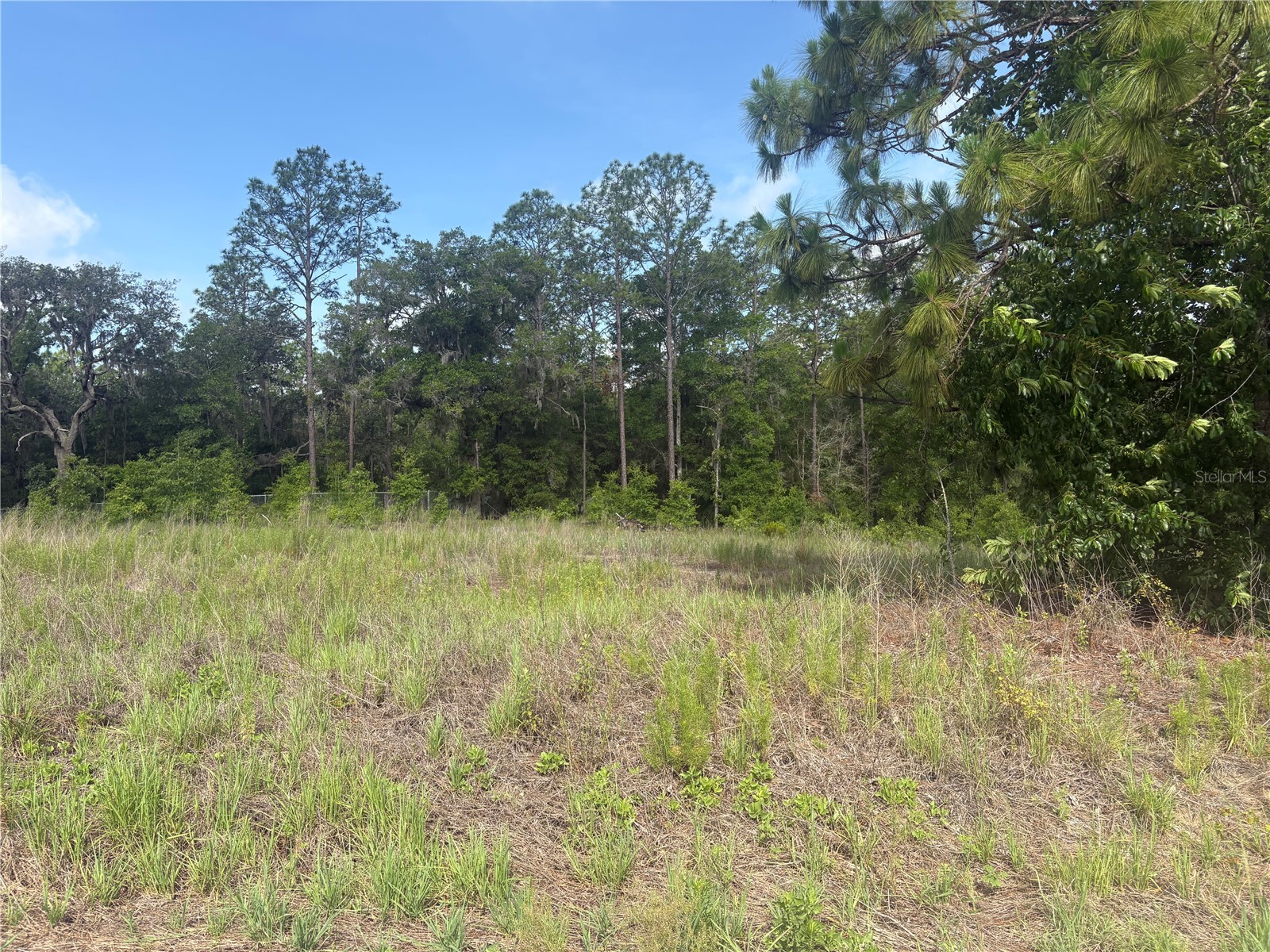 TBD SW 152 Court Ocala FL 34481 G5113021 image1