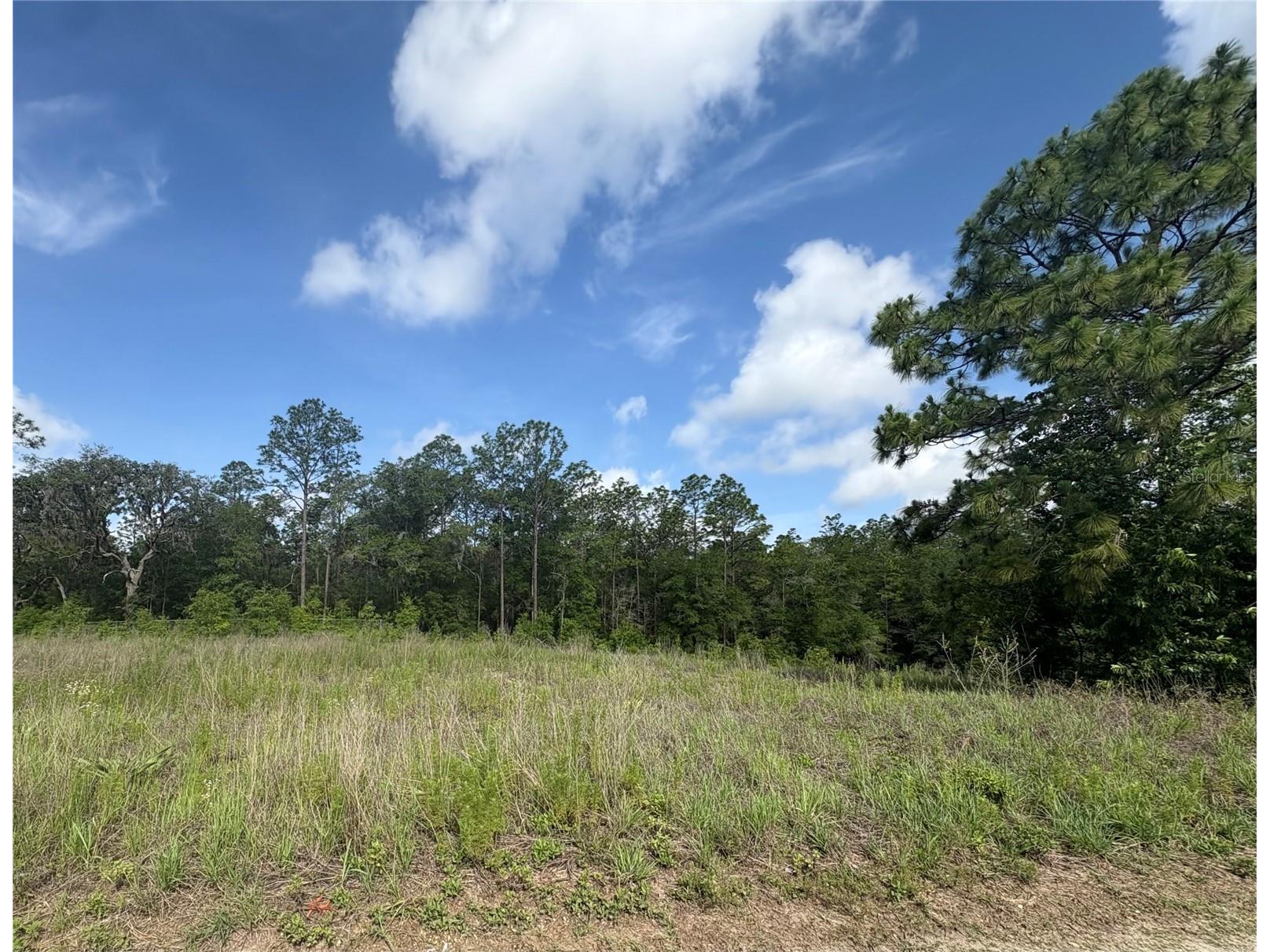 TBD SW 152 Court Ocala FL 34481 G5113026 image1