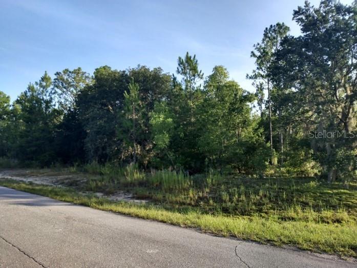 TBD Sw 152nd Terrace Ocala FL 32179 O6185460 image1