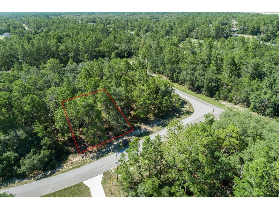 TBD SW 153 Lane Road Ocala FL 34473 OM681200 image1