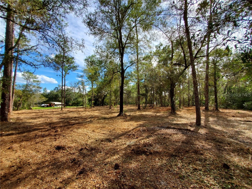 TBD SW 153rd Lane Dunnellon FL 34432 OM666615 image1