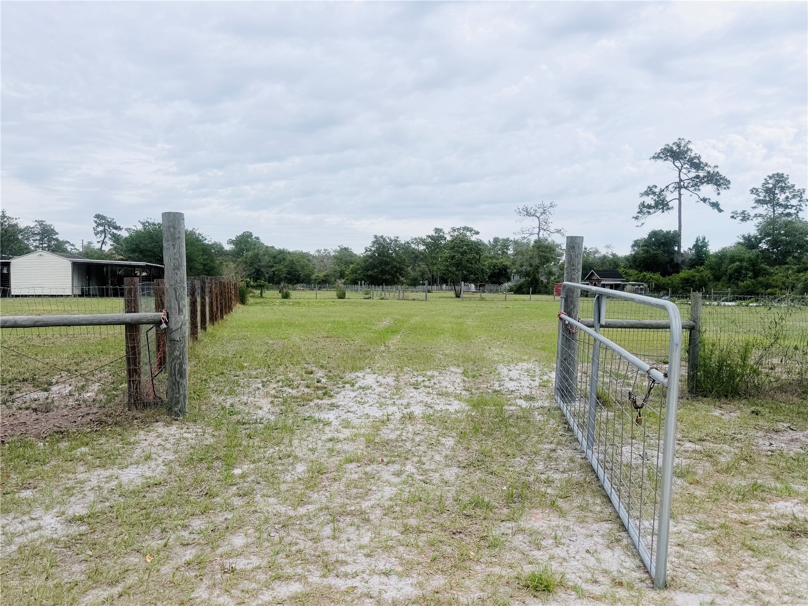 TBD SW 153rd Lane Dunnellon FL 34432 OM724498 image1