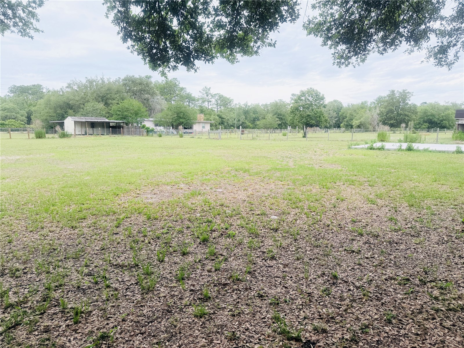 TBD SW 153rd Lane Dunnellon FL 34432 OM724498 image11