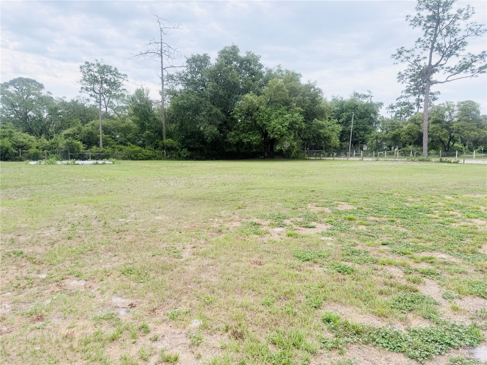 TBD SW 153rd Lane Dunnellon FL 34432 OM724498 image12