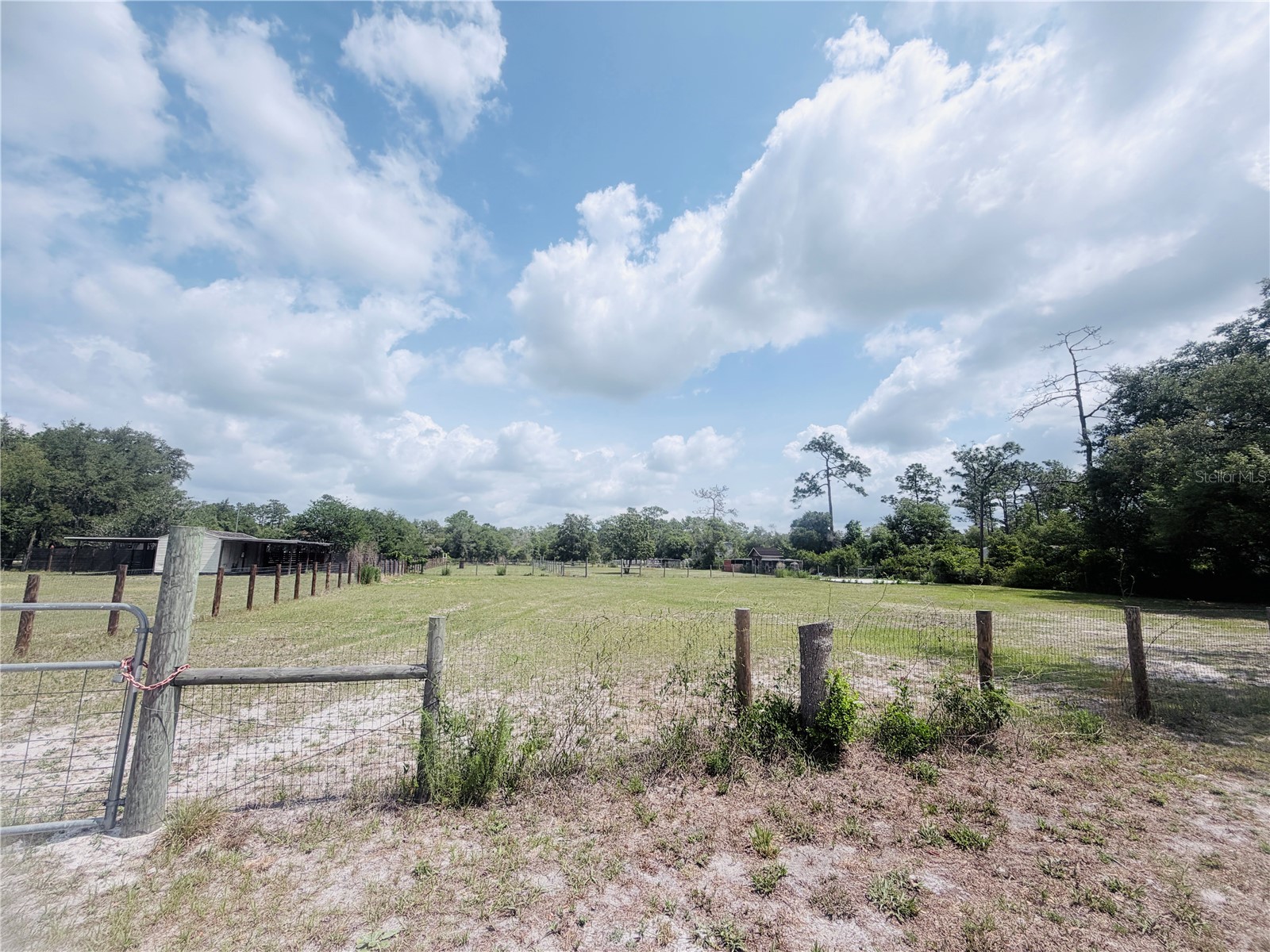 TBD SW 153rd Lane Dunnellon FL 34432 OM724498 image3