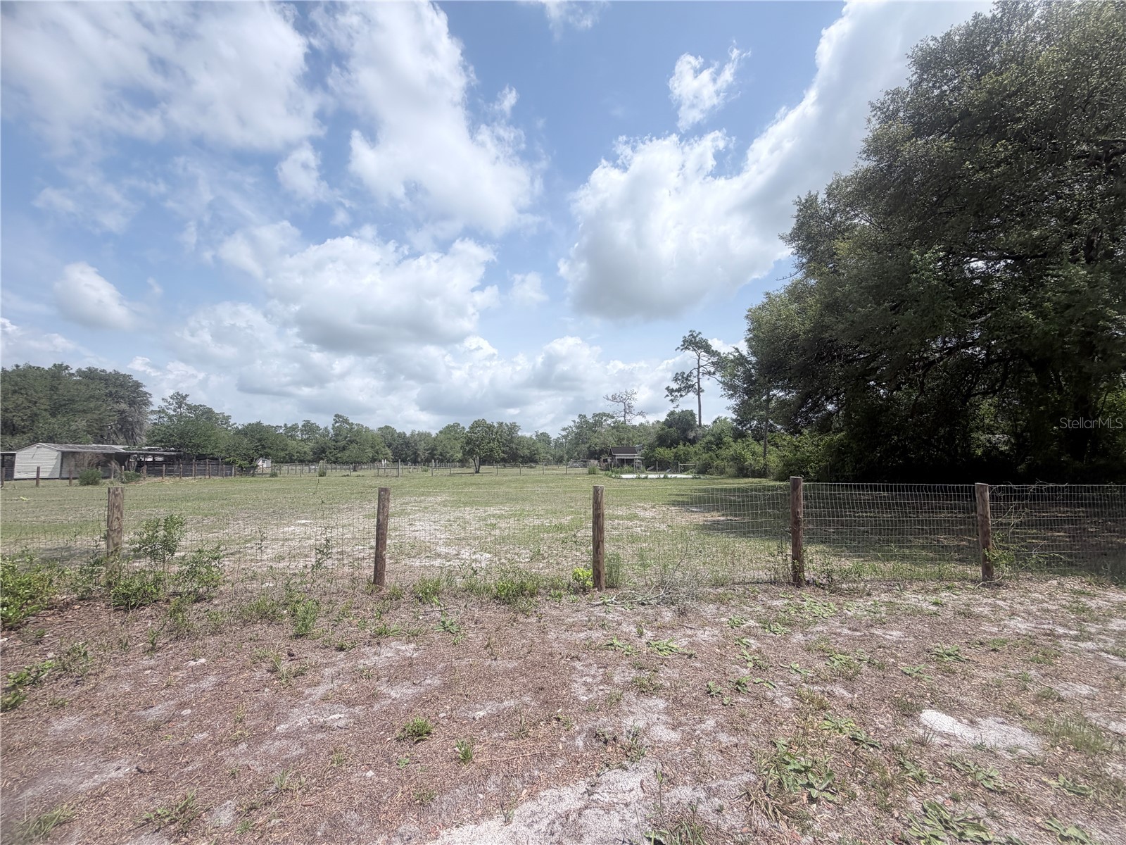 TBD SW 153rd Lane Dunnellon FL 34432 OM724498 image4
