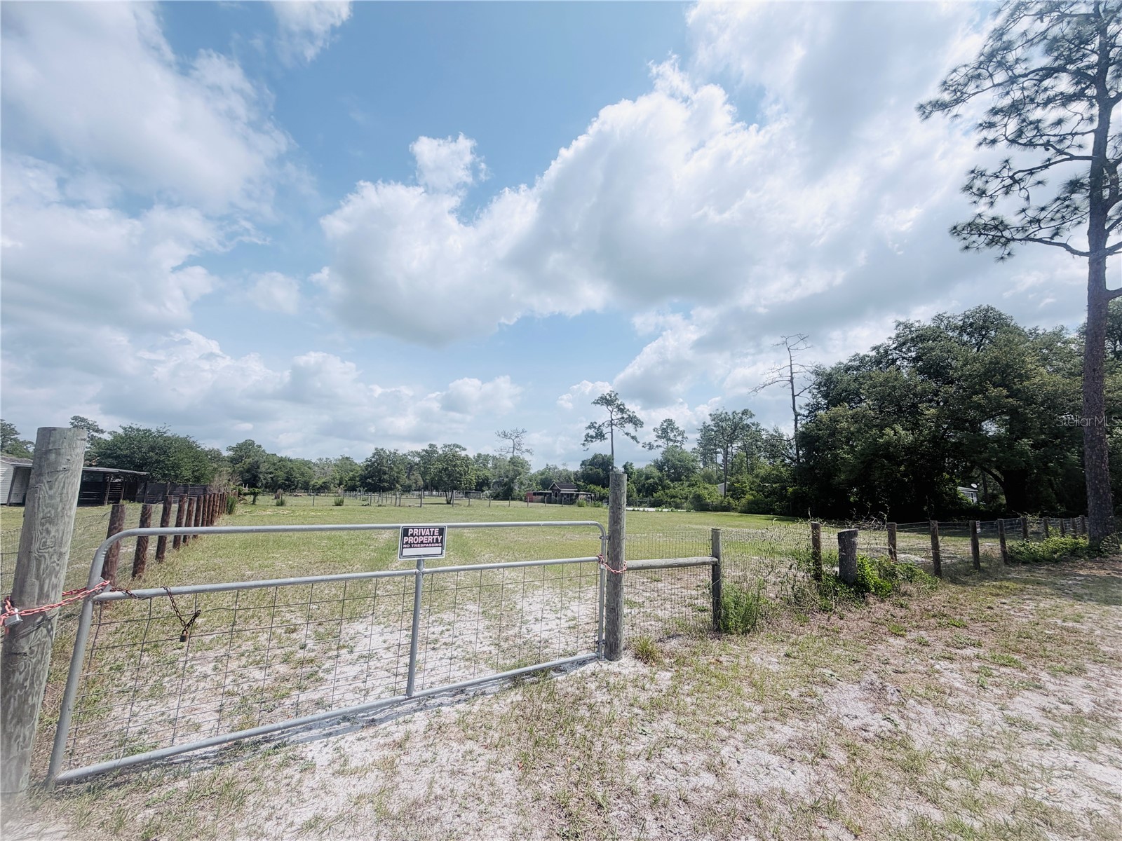 TBD SW 153rd Lane Dunnellon FL 34432 OM724498 image5