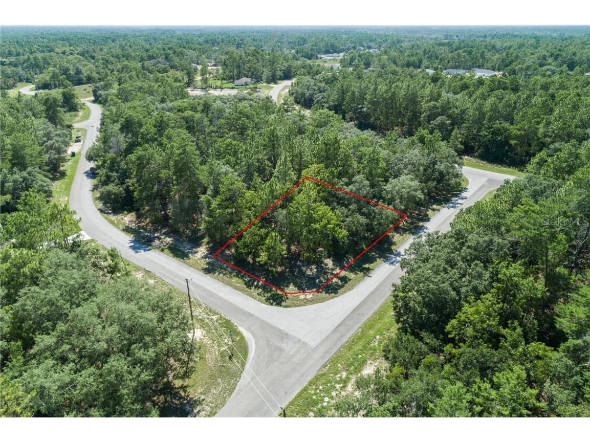 TBD SW 153rd Lane Road Ocala FL 34473 OM681195 image1