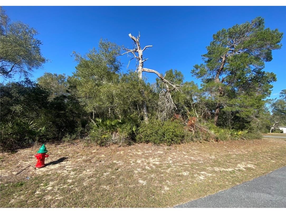 TBD SW 154th Lane Ocala FL 34473 OM652931 image1