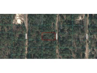 TBD SW 154th Terrace Ocala FL 34481 OM667899 image1