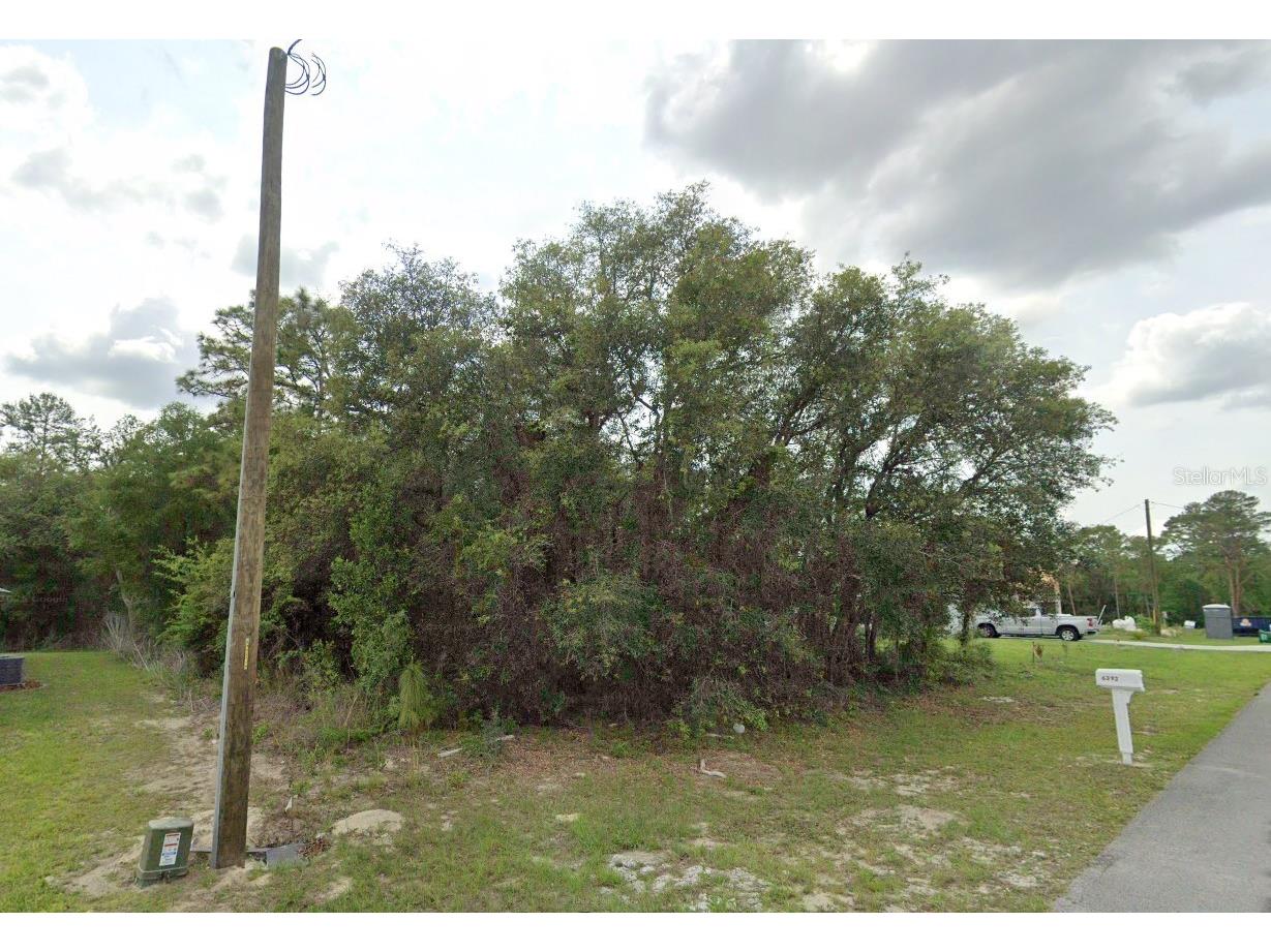 TBD SW 155th Place Ocala FL 34473 OM713932 image1